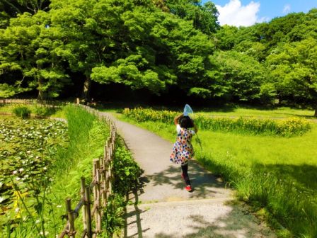 転職・求人情報写真