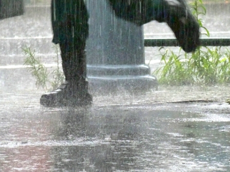 台風に備えて知りたい「川を見に行く心理」とは？川辺が危ない理由も